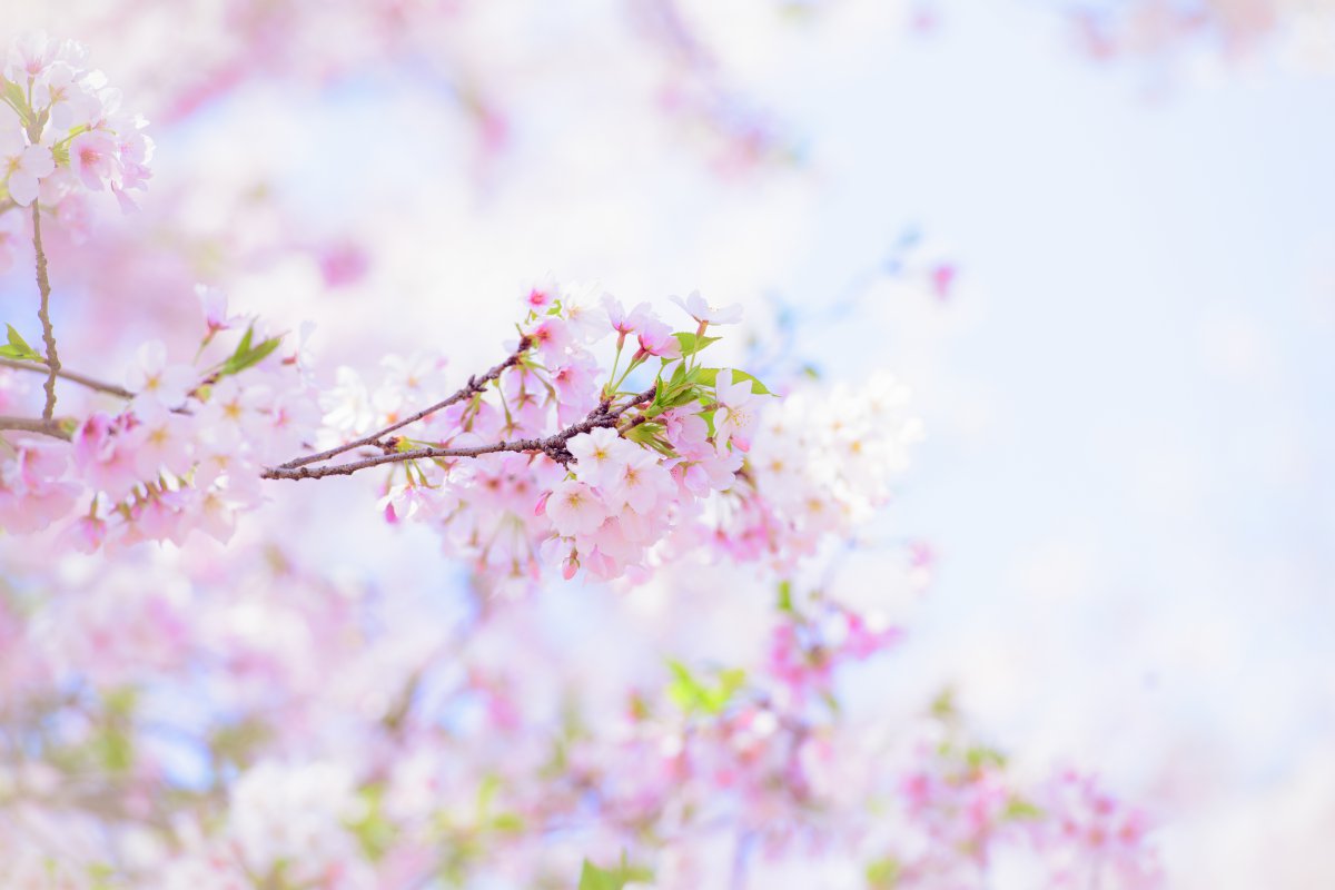 ӣ Ӱ@ 5kͼƬ