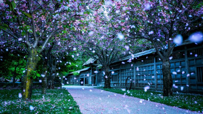 ���ô��������ӹȹ�԰Kariya Park 4k�羰ͼƬ