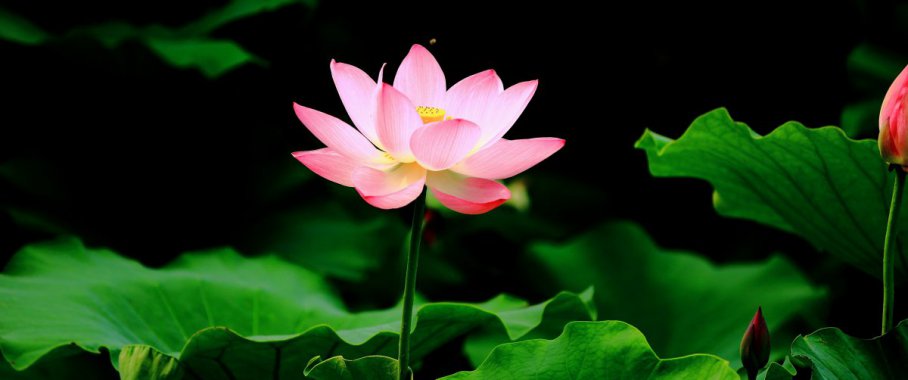 �����ɻ�ͼƬ