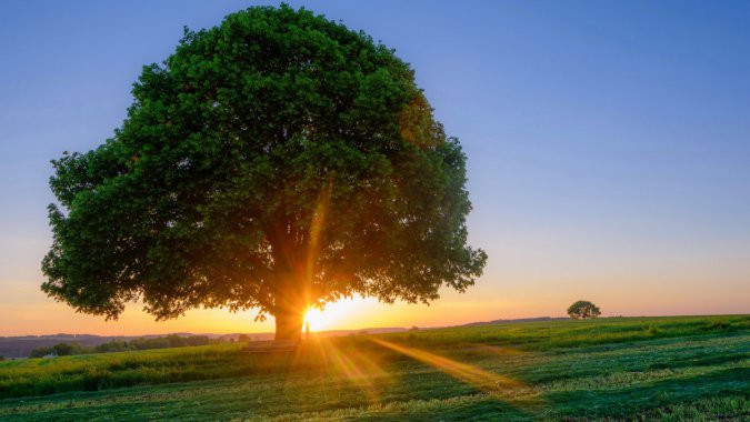 ��ղݵ�������羰4k����ͼƬ