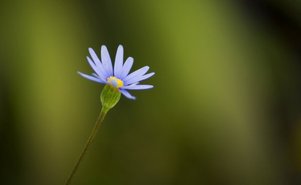 ��ɫ��С������4kͼƬ