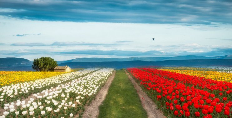 ������������4k�羰ͼƬͼƬ