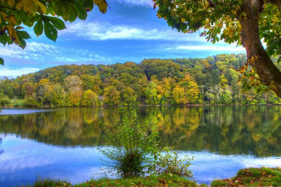 �¹��ڶ��� ���� ɭ�� ���� 4k�羰ͼƬ