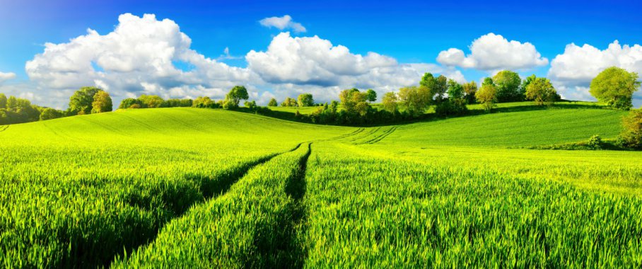 ���������ɫũ����羰ͼƬ