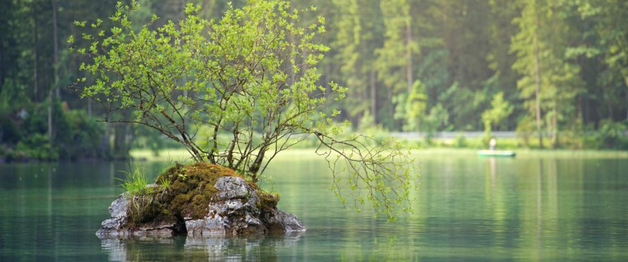 ��ʯ�� �� ɭ�ֺ��羰������ͼƬ