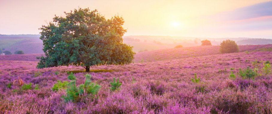 ����޹�²����ճ��羰������ͼƬ