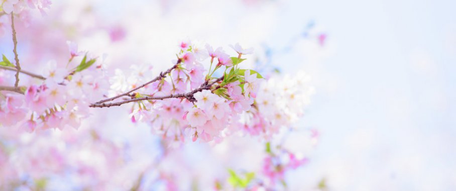 ӣ�� ��Ӱ@����� ������ͼƬ