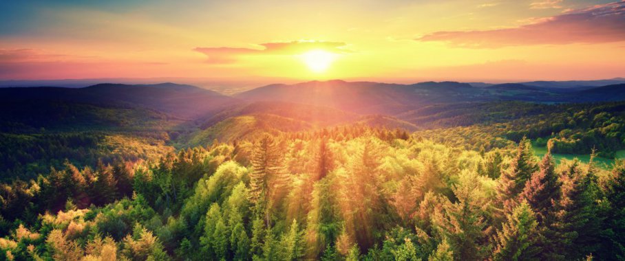 ����ɭ�ַ羰�续����ͼƬ