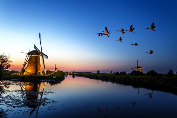 Kinderdijk�糵 ���� ���� 4kͼƬ