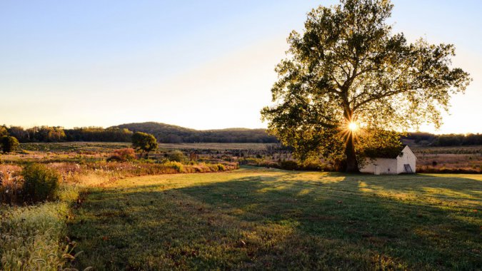 ��������԰���ͼƬ