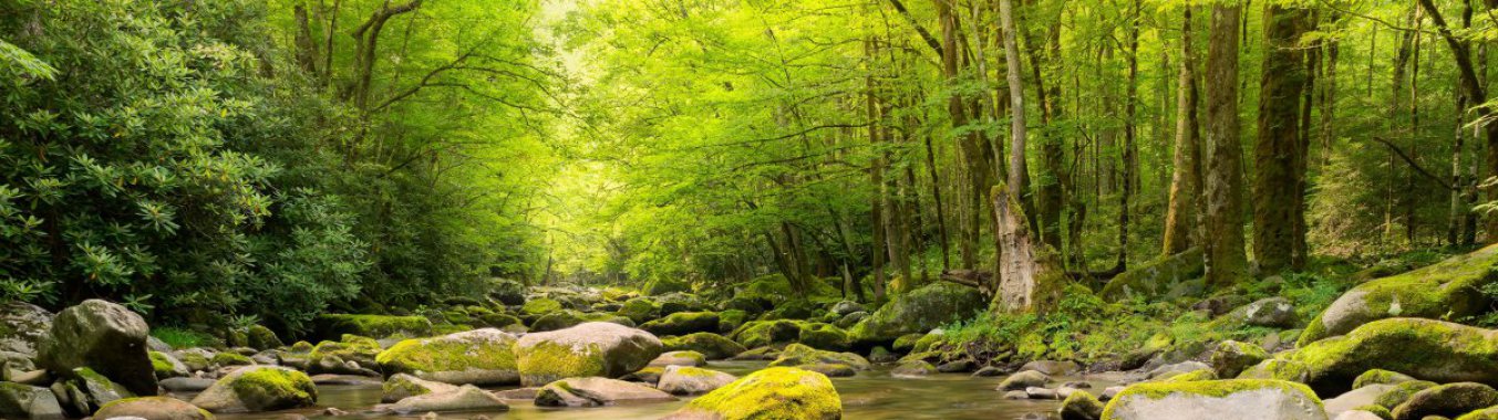 ɽ��Ϫ��ͼƬ