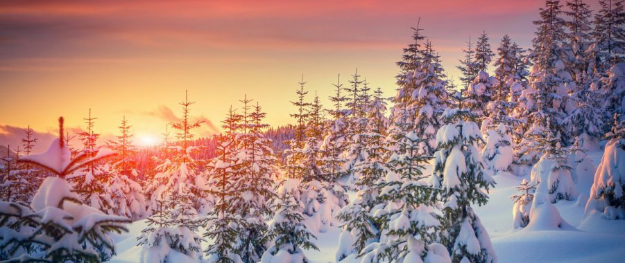 �����е�������ѩ��ͼƬ