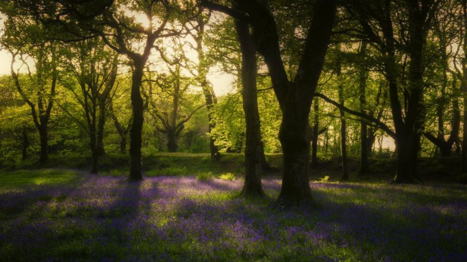 ���������ͼƬ