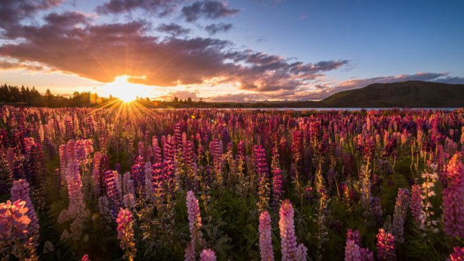 ���� ޹�²� �ճ�ͼƬ