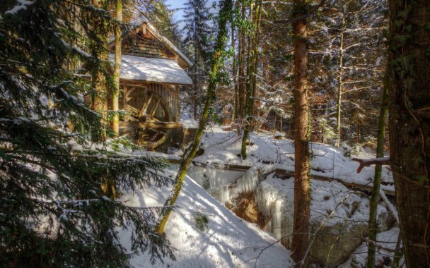 ɭ��ѩ��ͼƬ