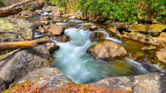 ��ˮ��ɭ�֣����������ۣ�4KͼƬ