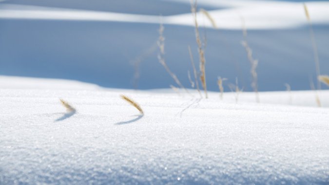 2022꣬䣬죬ѩɲݣдͷͼƬ