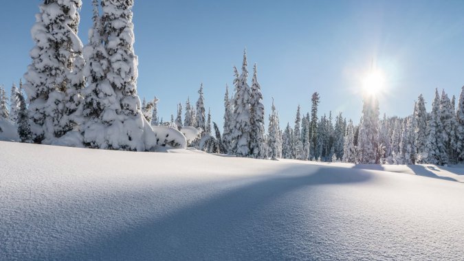 ʢ٣ʿɣ԰죬4K壬ͼƬ