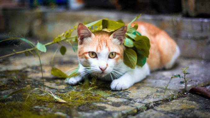 ɰè2022꣬ӰͼƬ