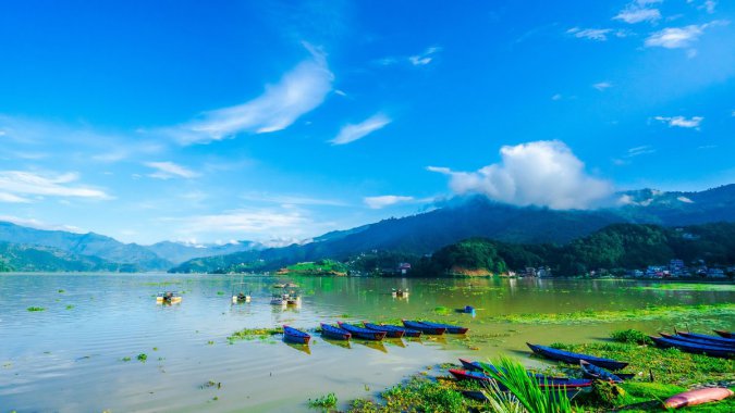 ���죬�Ჴ������ɫ�����ߺ�������ͼƬ