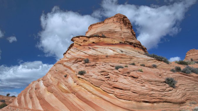 ���¹��Ҽ����ͼƬ