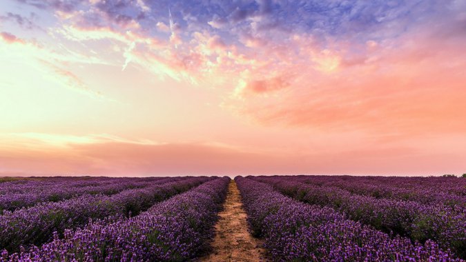 ��ɫ��޹�²��2022����Ȼ���羰����ƬͼƬ