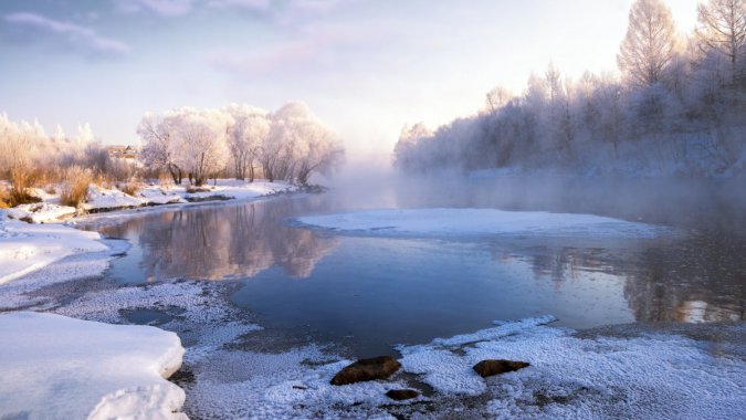 �й��������������죬�糿����˪��ͼƬ