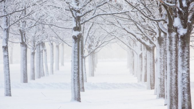 ���������ѩ��ͼƬ