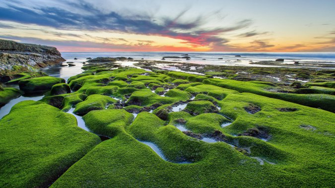 �����ǣ���ɫ������������ɳ̲ͼƬ