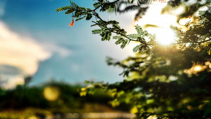 ����͸����Ҷ��϶ͼƬ