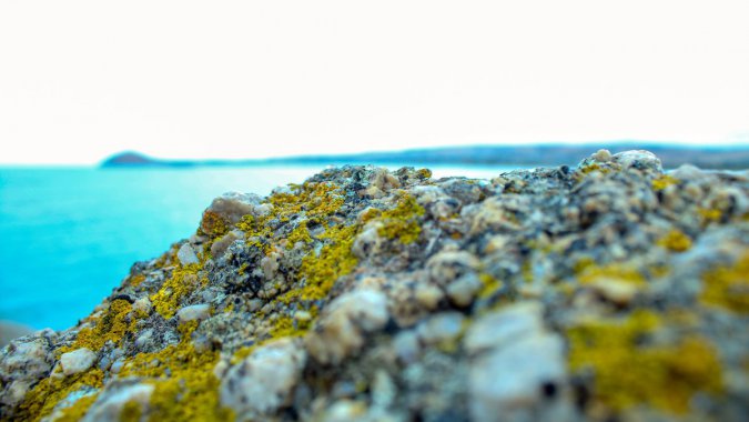 ��̲����������ɫ�ĺ�����ʯ����д��ͷͼƬ