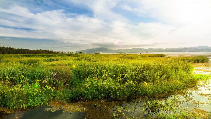 ��ũ�ܣ�������ԭ���ӣ�2022���羰����ƬͼƬ