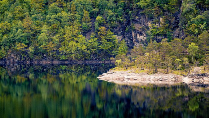 Ų�������죬������ɭ�֣�����������ͼƬ