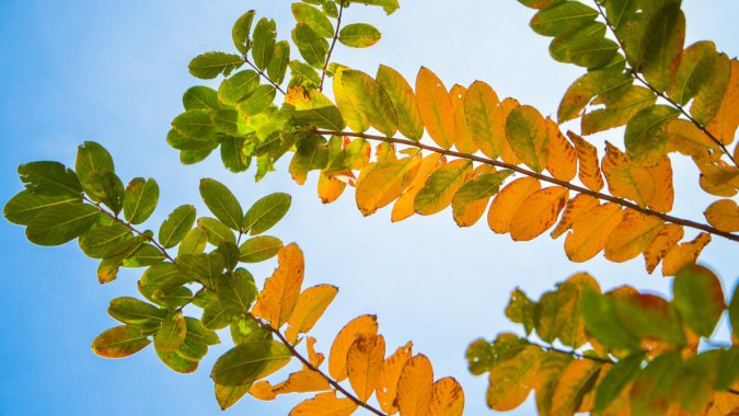 ＾ɫҶӣ2021Ȼ⣬HͼƬ