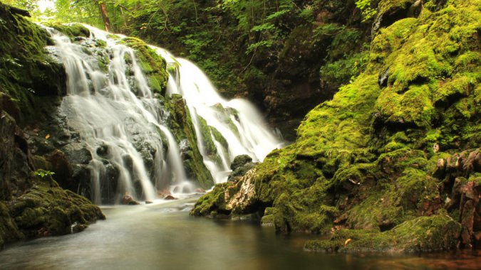 ���죬��ɫ��ɭ�֣�������̦ͼƬ