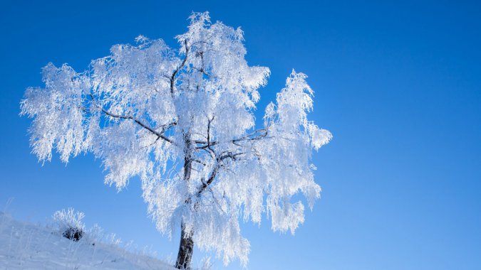 ���������������죬2022����Ȼ���羰����ƬͼƬ