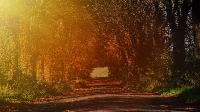 ���������������ͼƬ