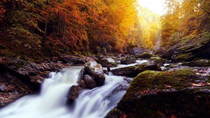 ��ʿ�����죬���֣��ӣ�2022����Ȼ��⣬��ƬͼƬ