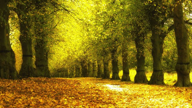 Ψ��������ľ�羰ͼƬ