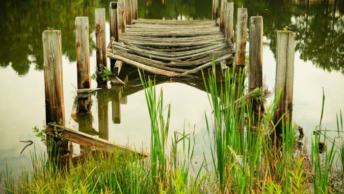 ʪ�ع�԰���ã�ľ���ţ��̲�ͼƬ