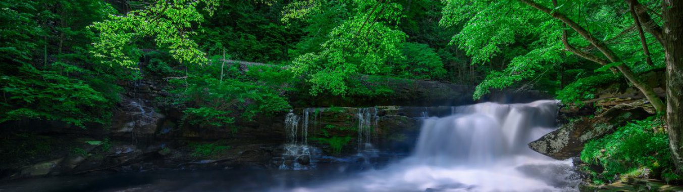 ɭ���е�Ϫ��ͼƬ