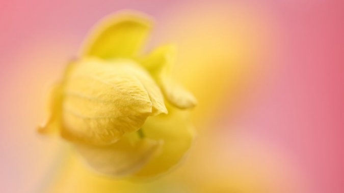 ���ţ���ɫ�������ۺ�ɫ�������黯ͼƬ