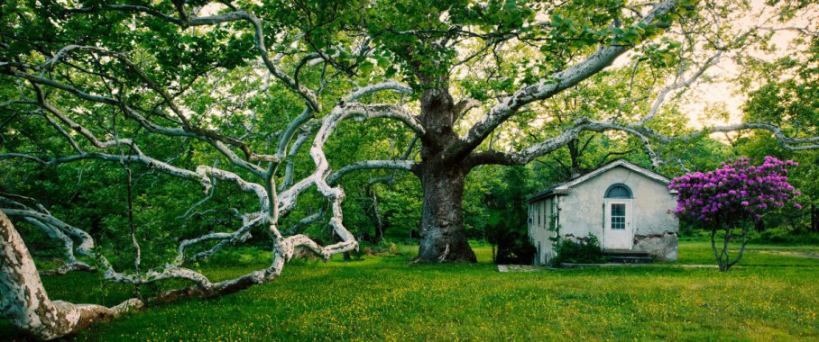 ������ͩ���µ��Ϸ���ͼƬ