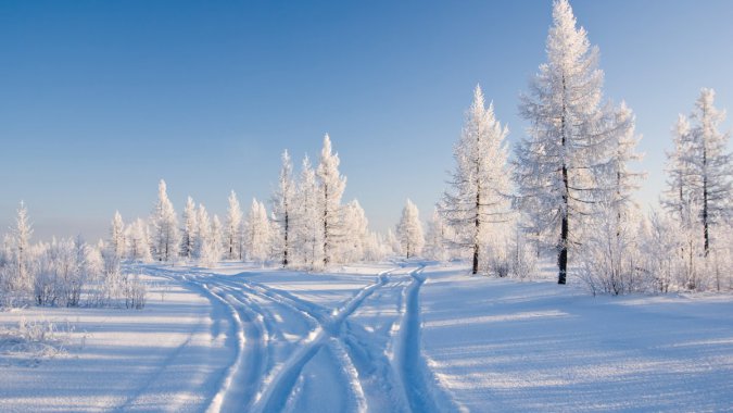 ������ѩ��ɭ�֣���Ȼ������ͼƬ