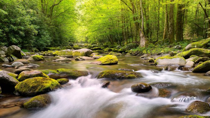 ���죬ɭ�֣�Ϫ����2022����Ȼ���羰����ƬͼƬ