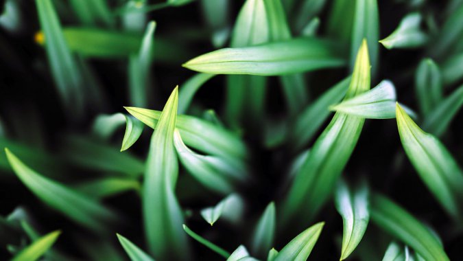 2022�����죬���ʣ���ɫ���ݣ�΢�࣬��дͼƬ