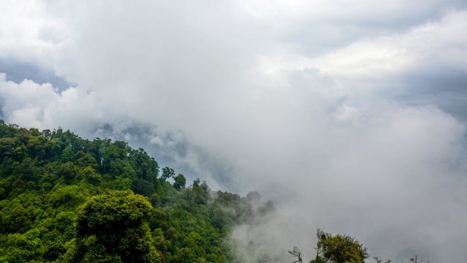 �ȴ����꣬ɭ�֣���������׵��ƶ�ͼƬ