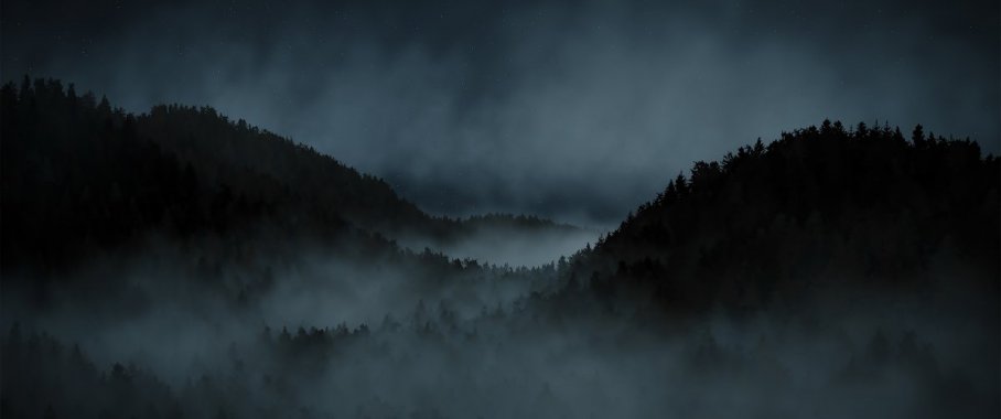 ҹ������ɭ��ͼƬ