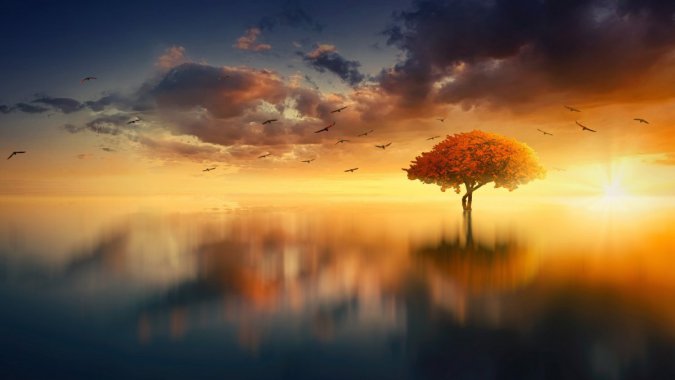 ƽ����ˮ��2022���糿���羰����ƬͼƬ