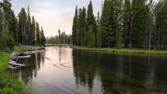 ���죬�ӣ�ɭ�֣�2022�꣬��Ȼ���羰����ƬͼƬ